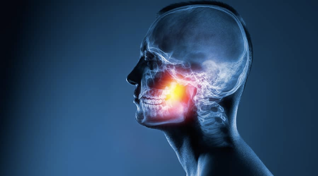 Jaw joint highlighted on skull imaging